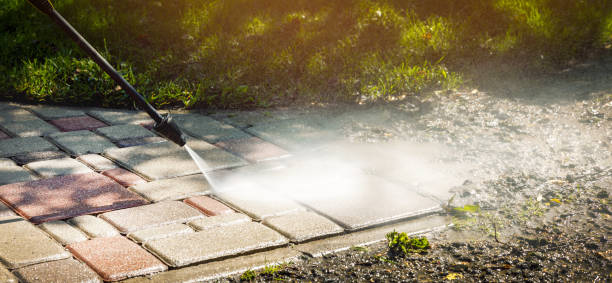 Best Roof Washing  in Sardis, MS